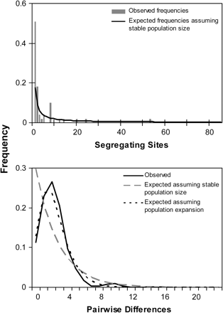 Population expansion signatures in mitochondrial ND4 sequence data. Top panel: Mismatch distribution of observed frequencies of pairwise differences among ND4 sequences and expected frequencies under the neutral model of evolution given the null hypothesis of 1) no population change and 2) population expansion. Bottom panel: Site-frequency spectrum indicating excess of singleton mutations in ND4 sequence. Spectrum compares observed frequencies of segregating sites to expected distribution under the null hypothesis of no population change.