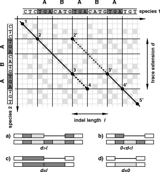 Identifying indel duplication signatures by the trace extension method. In the top part of the figure the dot-matrix of an exemplary indel event is shown. Different relations between the indel length l and its trace extension d corresponds to different classes of events. The 4 major classes are sketched in the bottom part of the plot (see Methods).