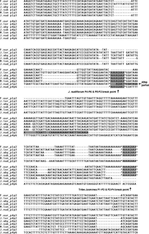Sequence alignments showing 1 of 4 inversion endpoints (shaded area). Eight of 52 sequences are shown.