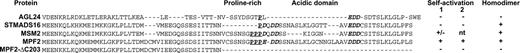 Differences in the C-termini of MADS-box proteins belonging to the STMADS16 subclade determine differences in their properties. The gaps were introduced to optimize the alignment of conserved residues. The prolines in the proline-rich domain are shown in bold and underlined. The acidic amino acids in the acidic domain are indicated in bold italics. The ability to self-activate in the 2-hybrid system was revealed by cell growth on SD/-Trp-His (1) and the expression of β-galactosidase, as determined by the development of a blue color in a nonlethal colony assay (2). Symbols + or –indicate growth or no growth (1) or the blue or white phenotype (2); nt is not tested. Homodimer formation (+) was detected as described in Results.