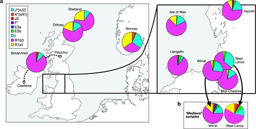 Haplogroup distributions in Wirral, West Lancashire, and control populations. (a) Haplogroup profiles of modern samples from the Wirral and West Lancashire and from control populations. Sectors in pie charts are colored according to haplogroup, and sector areas are proportional to haplogroup frequency. Lancs: Lancashire. (b) Haplogroup profiles of medieval samples from the Wirral and West Lancashire ascertained by surname.