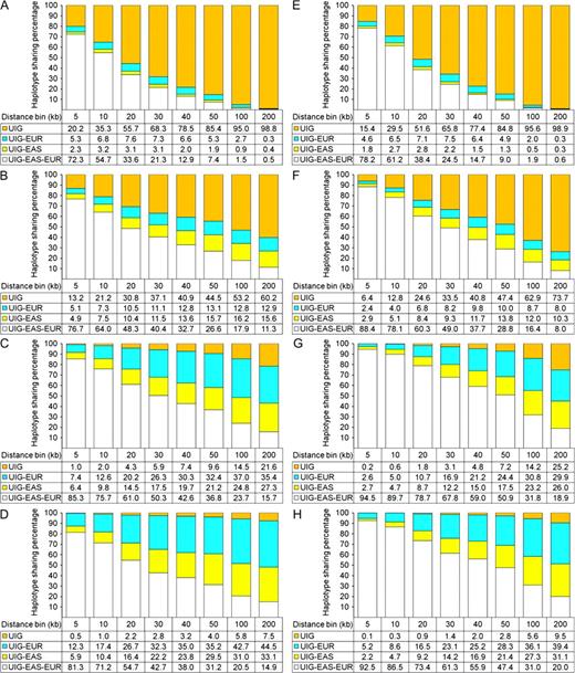 HSAs of simulated data. HSAs were performed in simulated data considering haplotype only (A–D) and considering both type and frequency (E–H). Only results obtained in UIG and from Model 1a (A,E), Model 2a (B,F), Model 3a (C,G), and Model 4a (D,H) are shown. Numbers in the table below are percentages of each class of haplotypes in UIG, that is, private in UIG (UIG), sharing with EUR only (UIG–EUR), sharing with EAS only (UIG–EAS), and sharing with both EUR and EAS (UIG–EAS–EUR).