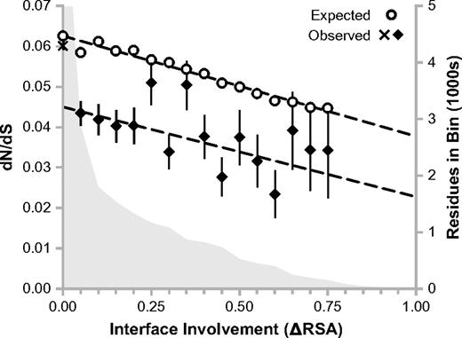 Context sensitivity of the structure–evolution relationship: interface involvement. Residues from proteins with mapped interfaces are binned according to their changes in RSA upon cocomplex formation (interface involvement, ΔRSA). The “X” represents the noninterfacial bin (ΔRSA = 0), whereas all other bins are represented by closed diamonds. Open circles represent expected dN/dS values assuming selective equivalence between buried and interfacial surface area. The distribution of residues across the bins is shown in the background (right vertical axis). There are 56,943 residues in the noninterfacial bin.