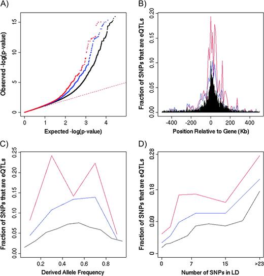 The abundance of eQTL signals in SNPs with and without evidence for selection (YRI data). In each plot, the red data correspond to SNPs with strong evidence for selection (|iHS| > 2 and surrounded by an unusual cluster of other high |iHS| SNPs); blue data are for SNPs with |iHS| > 2; and black data are for all SNPs. (A) Quantile–quantile plots of the distributions of −log10(P values) obtained from testing the expression levels at each gene for association with nearby SNPs. The dashed line indicates the expected distribution of P values if there were no true associations between SNPs and gene expression levels. Notice that SNPs with high |iHS| (red and blue data) show a higher rate of significant P values compared with SNPs without a signal of selection. (B) SNPs with high |iHS| show an enrichment for eQTLs at various distances from the transcription start site. (C) SNPs with high iHS tend to be enriched for eQTLs after controlling for allele frequency. The enrichment may be highest in the frequency ranges where iHS has the greatest power (roughly 50–80%; Voight et al. 2006). (D) SNPs with high iHS show generally higher rates of eQTLs after controlling for LD levels, as measured by the number of SNPs in high LD with the SNP in question (r2 > 0.8). For analogous plots of the other two populations, see the Supplementary Material online.