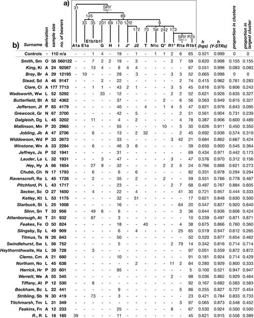 Haplogroup frequencies and gene diversities in 40 surnames and controls. (a) Tree showing phylogenetic relationships between haplogroups observed in this study, with mutation names given on branches. Unobserved haplogroups and associated markers are not shown, and shorthand names for haplogroups are explained in Materials and Methods. (b) Haplogroup frequencies, diversities, and summary of descent cluster findings. Each surname is followed by its abbreviation. Surname derivations are coded as follows—A: ambiguous/unknown; L: locative; N: nickname; O: occupational; P: patronymic/matronymic; and T: topographic. The total number of bearers of each surname in 1996 is given as the sum of bearers of all analyzed spelling variants—see supplementary table, Supplementary Material online. h: gene diversity. The number of clusters observed per surname is not shown, because this is sample-size dependent.