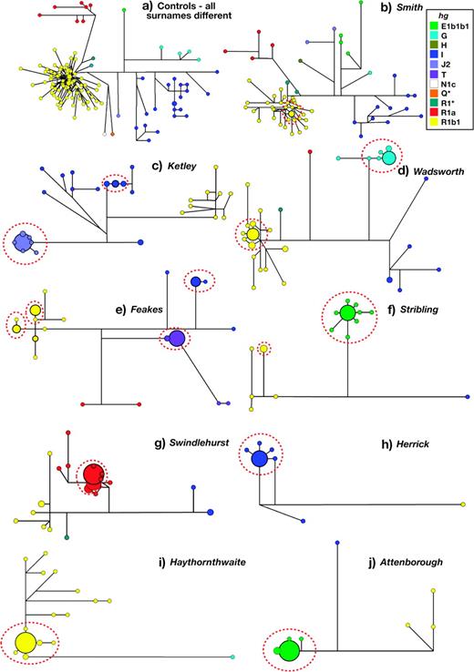 Selected median-joining networks showing haplogroup and Y-STR haplotype diversity within controls and surname samples. Circles represent haplotypes, with areas proportional to frequency and colored according to haplogroup as shown in the key, top right. Lines between circles represent Y-STR or binary-marker mutational steps, with the shortest line in each network representing a single step. Boundaries of descent clusters are shown by the dotted ellipses.