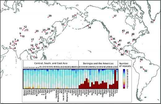 Geographic distribution of the Asian and American populations genotyped for this study. Population identification numbers appear in supplementary table S1, Supplementary Material online, and in the bar chart, which shows the frequency of n-repeat alleles at D9S1120 in each of the populations shown on the map. Population frequencies of n-repeat alleles at D9S1120 for the mapped populations are taken from Zhivotovsky et al. (2003) and Schroeder et al. (2007) except for the Washo and Fox (present study). In the present study, the 9-repeat allele was not observed in the Fox (sample size of 2).