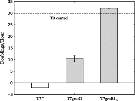 Fitness (doublings/hour) of T7+, T7groR1, and T7groR1E on the inhibitory host. The latter achieved a fitness maximum similar to the control, phage T3 adapted to this host. T3 should not be inhibited by the plasmid because T3 transcribes only weakly from T7 promoters, but some T3 adaptation to host and growth conditions is feasible. Bars indicate 95% confidence intervals.