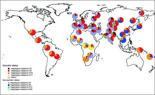 Geographical distribution of haplotypes carrying variants conferring secretor and nonsecretor phenotypes. Each color represents a frequent haplotype and those haplotypes phylogenetically close to it. Each pie corresponds to a different population in each geographical location.