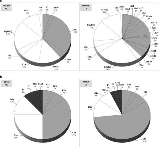MtDNA (a) and Y (b) haplogroup frequencies in HLs and CTs. In white, Indonesian-derived haplogroups; in light gray, African-derived haplogroups.