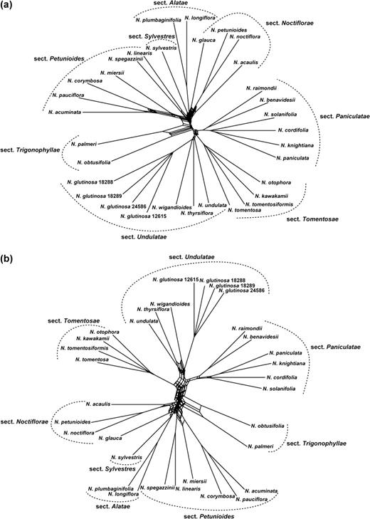 Filtered supernetworks for the ingroup taxa, constructed from combined sets of partial trees inferred from gene regions partitioned along recombination breakpoints identified by GARD and RDP3. (a) Supernetwork reconstructed from 34 partial trees using GARD breakpoints; all splits in the network are present in ≥11 input trees. (b) Supernetwork reconstructed from 18 partial trees using RDP3 breakpoints; all splits in the network are present in ≥six input trees.