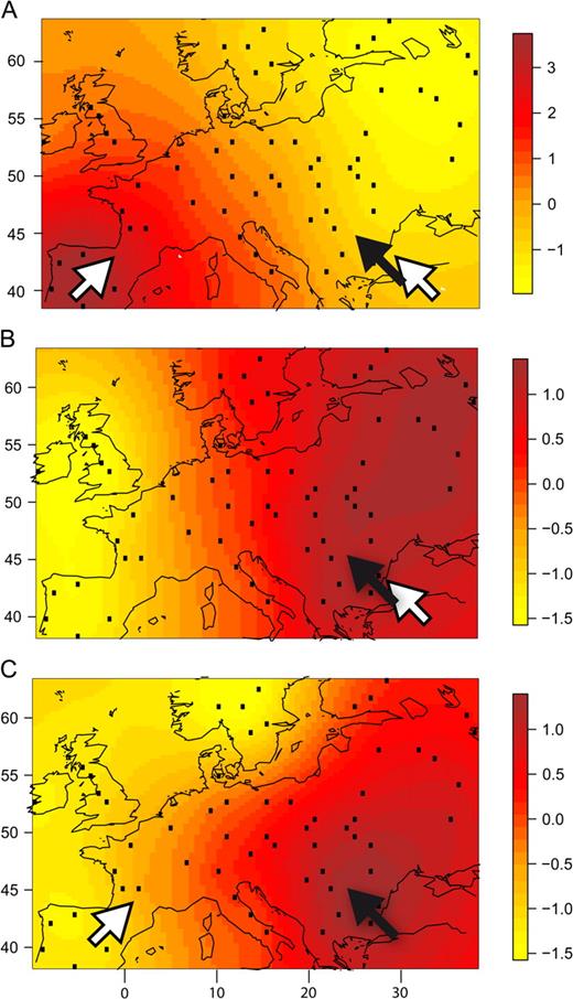 The three main patterns observed in PC1 maps under spatially realistic models of the demic expansion of Neolithic farmers in Europe with admixture with resident hunter-gatherer populations. (A) Simulations with more than 20% of Neolithic ancestry in current genomes (Paleolithic expansions starting either from the SE or from the SW). (B) Simulations with less than 20% of Neolithic ancestry in current genomes (Paleolithic expansion from the southeast). (C) Simulations with less than 20% of Neolithic ancestry in current genomes (Paleolithic expansion from the southwest). The black arrows indicate the origin of the Neolithic expansion, and the white arrows indicate the origin of the Paleolithic expansion.