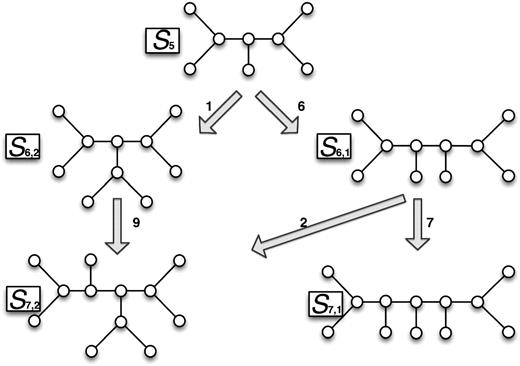 Tree shape generation principle. Starting with a 5-shape (S5), the two 6-shapes (S6,1 and S6,2) are generated by inserting the sixth taxon at an appropriate edge. From the two 6-shapes and the 7-shapes, S7,1 and S7,2 are created. The probabilities of the shapes depend on the insertion model. The number at the arrows indicate the number of edges that lead to the next larger tree shape.2