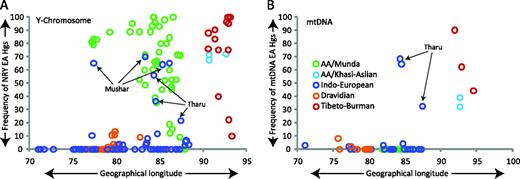 Scatter plot, showing southeast Asian–specific lineages among different linguistic groups of India. The geographical distribution of Munda languages in India is mainly governed by longitudinal distances; therefore, frequencies of Y chromosome (left panel) and mtDNA (right panel) haplogroups are plotted against longitudinal distances (x axis). Mushar and Tharu (who now speaks Indo-European language and showing exceptional levels of east Asian haplogroups in contrast to their linguistic affiliation) are arrow marked. South Asian haplogroups—mtDNA: M2–6, N5, M33–65, R5–8, and R31–32; Y chromosome: C5, F, H, L, and R2. Southeast Asian haplogroups—mtDNA: A–G, M7–12, R22, and N9; Y chromosome: C2, C3, D, and M–O. Unresolved haplogroups—mtDNA: M*, R*, N* including other lineages, for example, M31 and West Eurasian specific; Y chromosome: C*, G, I–K*, P*, Q, and R1. Haplogroup frequencies and associated references are given in detail in supplementary information (supplementary tables S9 and Supplementary Data, Supplementary Material online).