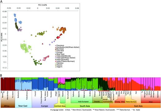 (A) PCA of Indian Austroasiatic, Dravidian, and Tibeto-Burman groups in the context of other Eurasian populations. PC analysis was carried out using smartpca program (with default settings) of the EIGENSOFT package. After filtering SNPs (see Materials and Methods for detail), the combined data set yielded a matrix of 615 samples with 189,533 SNPs. (B) Bar plot displays individual ancestry estimates for studied populations from a structure analysis by using ADMIXTURE with K = 7.