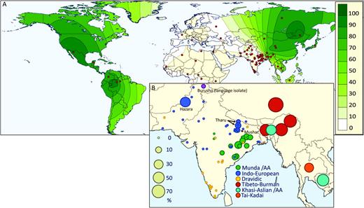 (A) Geographic distribution of the EDAR 1540C allele frequency worldwide. The map was generated using Surfer8 of Golden Software (Golden Software Inc.), following the Kriging procedure. Red dots indicate sampling location. (B) Geographic distribution of the EDAR 1540C allele frequency in different groups of south and southeast Asia. The frequency is shown in proportion to the bubble size.