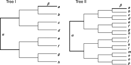 Two trees used to simulate sequence alignments under the branch-site model, with one of branches α and β used as the foreground branch. All branch lengths are 0.3 nt substitutions per codon. The total tree length is thus 4.2 and 9.0 nt substitutions per codon for trees I and II, respectively. Although the branch lengths on both trees conform to the molecular clock, the codeml analysis used the unrooted trees without the clock assumption, with the length of the single branch around the root estimated from the data.