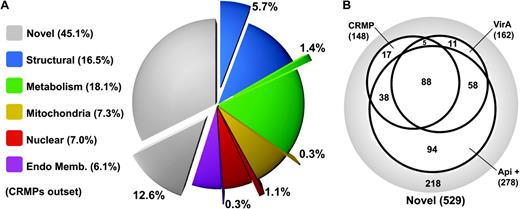 Distribution of CRMPs in Tetrahymena. (A) Distribution of CRMPs (outset wedges) in each of the functional categories from the Tetrahymena pellicle proteome (total percentage of each functional category is shown in the key). (B) Venn diagram of Tetrahymena novel proteins that are identified as CRMPs share Blast matches with viral A-like proteins and share Blast matches with apicomplexan proteins (Api +).