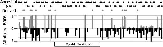 Derived allele frequencies in the HapMap3-based extended dys44 haplotype. Superimposed histograms compare derived allele frequencies seen on the background of the 77 extended B006 haplotypes (upper) with frequencies of the same alleles on the remaining 1,337 haplotypes from this data set (supplementary table S2, Supplementary Material online). The status of the Neandertal alleles is marked on the top as ancestral, derived, or not available, NA.