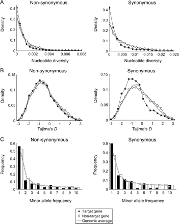 The pattern of polymorphisms in the target and nontarget genes of miRNAs in Arabidopsis thaliana. (A) Density distribution of nucleotide diversity π. Filled stars and open diamonds are for target and nontarget genes, respectively. The genomic average is shown by a dashed line. (B) Density distribution of Tajima's D statistic. (C) Frequency distribution of minor allele frequencies. Filled and open bars are for target and nontarget genes, respectively.