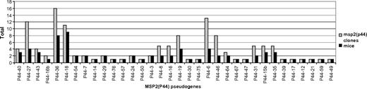 The number of expression site clones of each msp2(p44) pseudogene excluding the 4 inoculum pseudogenes (P44-51, P44-23, P44-2b, and P44-1) detected throughout the study (total clones = 130) and the number of individual mice in which each pseudogene was expressed.