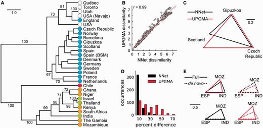 Similarity of pneumococcus isolates from 29 countries measured over a neighbor-net or UPGMA tree. (A) Hierarchical clustering of the neighbor-net distance matrix with jackknife values greater than 60 indicated. Colors indicate the continent of each sample. (B) Scatter plot relating the dissimilarity values for every pair of countries over a neighbor-net (x axis) or UPGMA tree (y axis). The y = x line is shown as a dashed line, the linear regression line is shown in red, and Pearson's correlation coefficient is given in the top-left corner. (C) Distances measured over a neighbor-net and UPGMA tree, which differ substantially for select pairs of geographic regions. (D) Histogram of the percentage difference between distances measured for every pair of geographic regions when the full data set is considered or when a de novo analysis is performed for each pair. (E) Comparison of distances measured between Mozambique (MOZ), Spain (ESP), and India (IND) when considering the full data set or performing a de novo analysis using only STs from these three countries. To show that a linear scaling does not make the distances congruent, each set of measurements was normalized by the longest distance between any pair of countries.
