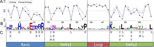 Fungi bHLH entropies, logos, and consensus. (A) The bHLH normalized group entropy by position. Lower values indicate conservation, whereas values close to one approach complete randomness. (B) The graphical representation of the amino acids at each position of the bHLH domain. Symbols representing amino acids are scaled by their bit score (a derivation of entropy) at a given position. (C) The 50-10 consensus sequences for fungi. Using an alignment of bHLH domains, amino acids occurring at a frequency of more than 50% at a given site are displayed. At each of these sites, additional amino acids are displayed beneath if they are conserved in 10% or more of the sequences.