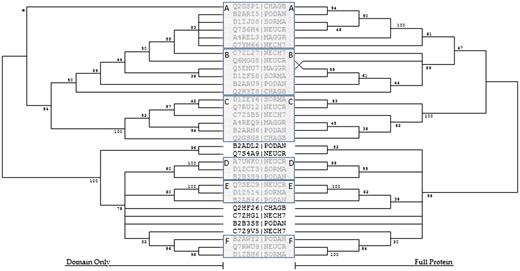 NJ analyses of F4 proteins from Sordariomycetes organisms. The NJ trees were inferred from the bHLH domain only and from the entire bHLH-containing protein sequence. The trees are displayed with corresponding bootstrap values where branches with a bootstrap of less than 30 have been collapsed. Six strongly supported F4 subclades have been noted, where subclades A–C contain one member from each Sordariomycetes organism and Groups D–F each have one member from Podospora anserina, Sodaria macrospora, and Neurospora crassa. * The Q2GSP1 bHLH domain has been determined to be highly divergent by 1) containing seven mismatches to the fungal consensus motif, 2) possessing an uncharacteristic amino acid at site 12 for an F4 protein (D), and 3) containing a simple sequence repeat through both the basic and Helix 2 regions (DDDDDD). The full Q2GSP1 sequence, however, is strongly supported in the A subclade, suggesting the highly divergent bHLH arose from either evolutionary pressure or sequencing errors.