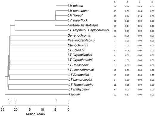 The distribution of polymorphism for Malawi SNPs across a phylogram of East African cichlid lineages. Column A shows the number of coincident Malawi SNPs (out of 94) that are shared with each lineage. Columns B–D show minor allele frequencies for exemplar SNPs; B, SNP Aln112626_241 exhibits widespread polymorphism in 8 of 12 lineages outside of Lake Malawi; C, SNP Aln116141_779 shares polymorphism with river haplochromines; D, SNP Aln104822_926 is not polymorphic within each of the Lake Tanganyika tribes, but fixation of alternate alleles suggests early origin of the polymorphism. The tree topology is modified from published reports (Salzburger and Meyer 2004; Salzburger et al. 2005; Genner et al. 2007). The chronogram (bottom scale) is synthesized from recent analyses (Genner et al. 2007; Wagner et al. 2012); earlier reports (Salzburger and Meyer 2004; Salzburger et al. 2005) suggesting more recent divergence times are summarized on the top scale.