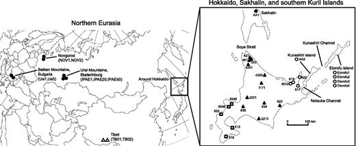 Geographical distribution of brown bear mtDNA clades on the Eurasian Continent and Hokkaido Island, Japan. Filled circles, mtDNA clade 3a1; filled triangles, clade 3a2; open circles, clade 3b; open squares, clade 4; open triangles, clade 5. Numbers next to the symbols are sample numbers.