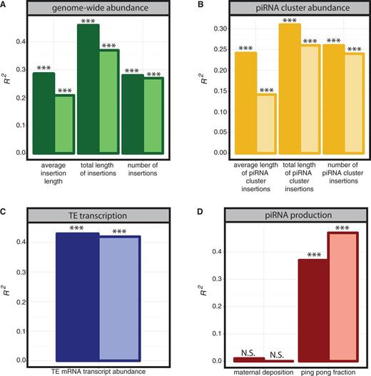 Predictors of TE-derived piRNA abundance. The coefficient of determination (R2) is reported for individual predictors of variation in sense (dark bars) and antisense (light bars) piRNA abundance between TE families. R2 values are from a bivariate regression model including the indicated predictor variable and a factor for genotype (wK or w1118). Variables are grouped into four categories: (A) genome-wide abundance, (B) piRNA cluster abundance, (C) TE transcript level, and (D) piRNA production. piRNA clusters are the 15 major sources of uniquely mapping piRNAs defined in Brennecke et al. (2007) including the following: cluster1/42AB–2R:2144349 … 2386719; cluster2/20A–X:21392175 … 21431907; cluster3/102E–4:1258473 … 1348320; cluster4/XTAS–GenBank L03284.1; cluster5/38C–2L:20148259 … 20227581; cluster6/80E–F 3L:23273964 … 23314199; cluster7–U:4015849 … 4029971; cluster8/flamenco–X:21505666 … 21684449; cluster9/20B–X:21759393 … 21844063; cluster10–U:5766708 … 5772171; cluster11/100F–3R:27895169 … 27905030; cluster12–3LHet:1402377 … 1557939; cluster13–3LHet:2011004 … 2180268; cluster14–U:7542733 … 7545114; and cluster15–3LHet:238123 … 332969. *P < 0.05; **P < 0.01; ***P < 0.001; N.S., P > 0.1.