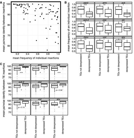 Recently active TE families in the Drosophila melanogaster genome are more sensitive to disrupted piRNA silencing. (A) The mean frequency of individual insertions of TE families in Portuguese populations of D. melanogaster (Kofler et al. 2012) is compared with the mean pairwise identity between insertions of those TE families in the sequenced D. melanogaster genome (Celniker et al. 2002; Hoskins et al. 2007). B and C) TE families that are derepressed in piRNA pathway mutants (Klattenhoff et al. 2009; Li et al. 2009; Zamparini et al. 2011; Zhang et al. 2011) exhibit a lower mean frequency of individual insertions (B) and a higher mean pairwise identity between insertions (C). aub and aub-2 denote independent measurements of TE derepression in aubergine mutants. For the box-plots in (B) and (C), the center line denotes the median, the box denotes the interquartile range (IQR, the 25th–75th percentile of the data), the whiskers denote the most extreme data values within 1.5*IQR of the upper and lower bounds of the IQR, and dots denote outliers above and below 1.5*IQR of the upper and lower bounds of the IQR. *P < 0.05; **P < 0.01; ***P < 0.001. Marginally significant P values, P ≤ 0.1 are given. N.S. denotes P > 0.1.