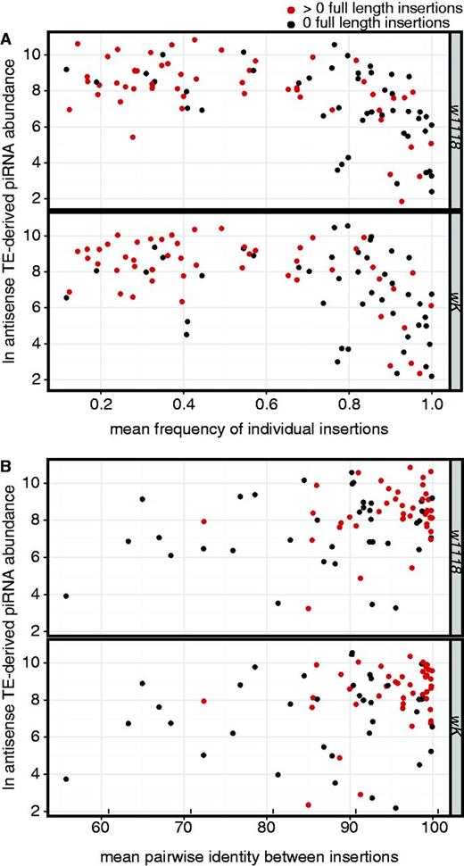piRNA production is positively correlated with indicators of recent transposition rate. The natural logarithm transformed, normalized antisense TE-derived piRNA abundance for individual TE families is plotted as a function of (A) the mean frequency of insertions from those families in Portuguese populations of D. melanogaster (Kofler et al. 2012), and (B) the mean pairwise identity between insertions from those families in the sequenced D. melanogaster genome (Celniker et al. 2002; Hoskins et al. 2007). Red indicates TE families represented by at least 1 full-length insertion in the sequenced D. melanogaster genome, based on the Repbase consensus sequence (Jurka et al. 2005).