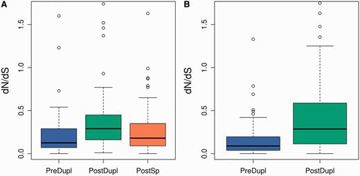 Boxplot representation of dN/dS for the Pre-SD (A) and Post-SD (B) sets. After filtering out branches with dS < 0.01, for the Pre-SD set, we had 34, 62, and 139 pre-, postduplication, and postspeciation branches, respectively, and for the Post-SD set, we had 115 and 128 pre- and postduplication branches, respectively. Differences between the PreDupl and PostDupl branches were significant at P < 0.001 for the Pre-SD set (A) and P < 10−8 for the Post-SD set (Wilcoxon’s test). The difference between the PostDupl and PostSp branches in (A) was also significant at P < 0.01.