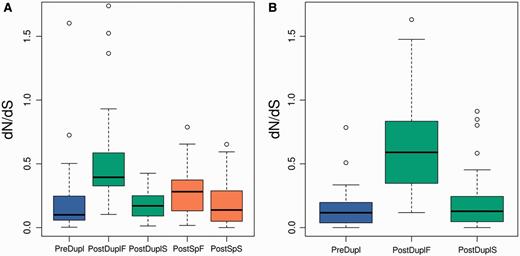 dN/dS for slower and faster duplicated gene copies for the Pre-SD (A) and Post-SD set (B). Differences between the faster postduplication branch (PostDuplF) branch and all other branches were highly significant for both sets (P < 10−10). Differences between the preduplication (PreDupl) and faster postspeciation (PostSpF) or slower postspeciation (PostSpS) branches were not significant (see supplementary data, Supplementary Material online, for all pairwise comparisons).