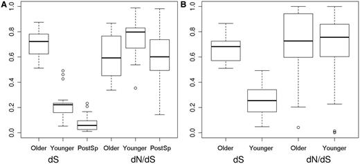 Normalized dS and dN/dS values older and younger for older and younger Pre-SD and Post-SD duplicates. Normalized values were calculated as average postduplication branch values divided by the sum of average postduplication and preduplication branch values (A). Pre-SD set: differences in dS and dN/dS between younger and older duplicates were significant (P < 10−8 for dS and P = 0.01 for dN/dS, respectively, Wilcoxon’s test). Normalized dN/dS in older duplicates was not significantly different from the corresponding value in postspeciation branches (dN/dS Older-PostSp, P = 0.792 and dN/dS Younger-PostSp, P = 0.002, Wilcoxon’s test). (B) Post-SD set: only differences in normalized dS were significant (P < 10−9).