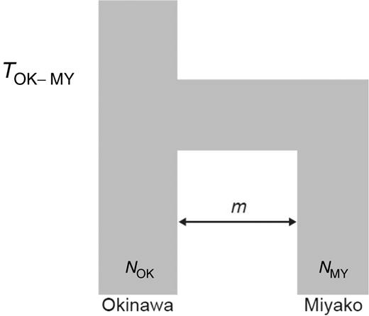 Schematic models employed for the kernel-ABC. TOKâMY is the divergence time between the people from the OK and the MY. NOK and NMY are the effective population sizes of the OK and the MY, respectively. We tested 12 demographic models that assumed the migration rate m = 0, 0.001, 0.01, or 0.1 in combination with the prior distribution of divergence time Tâ¼LN(Î¼=50,Î¼2=502), LN(Î¼=100,Î¼2=1002), or LN(Î¼=400,Î¼2=4002).