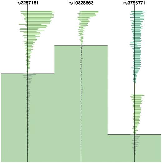 Haplotype pattern for three SNPs in the YRI population. The vertical dark line indicates the location of the SNP (SNPid is shown). The average length of each haplotype is represented by a horizontal line. The different haplotype backgrounds carrying the derived allele are denoted by different tones of green. Each tone of gray indicates a different haplotype background carrying the ancestral allele. All haplotypes carrying the derived allele lie on the white background, whereas haplotypes carrying the ancestral allele lie on the green background.