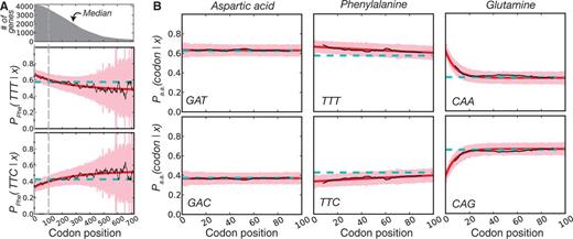 The functional form of codon usage bias. (A) For the amino acid phenylalanine, we show the conditional probability of observing a codon as a function of position (black line, smoothed with a sliding window of eight codons). We also show the best-fitting exponential model (red) with corresponding 95% confidence intervals (pink) and the uniform model (cyan, confidence intervals not shown for clarity). The survival curve of Escherichia coli gene lengths is highlighted at the top to illustrate the basis for increasingly wide-confidence intervals due to data sparseness at distal sites. (B) Data for three different 2-fold redundant amino acids as in (A) but with the x axis extending only to 100 codons to highlight heterogeneity in the 5′ region.