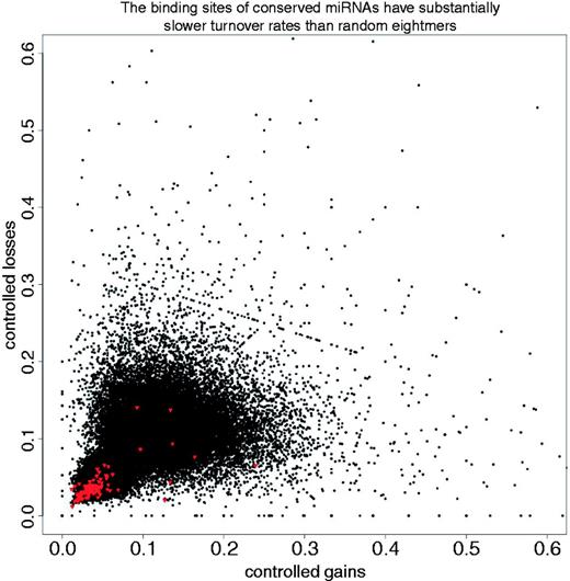 The binding sites of conserved miRNAs have substantially slower turnover rates than random 8mers. After normalizing gain and loss rates by total number of sites, it is apparent that the binding sites of conserved miRNAs (in red) have slower turnover rates than those of other 8mer sequences in 3′-UTRs.