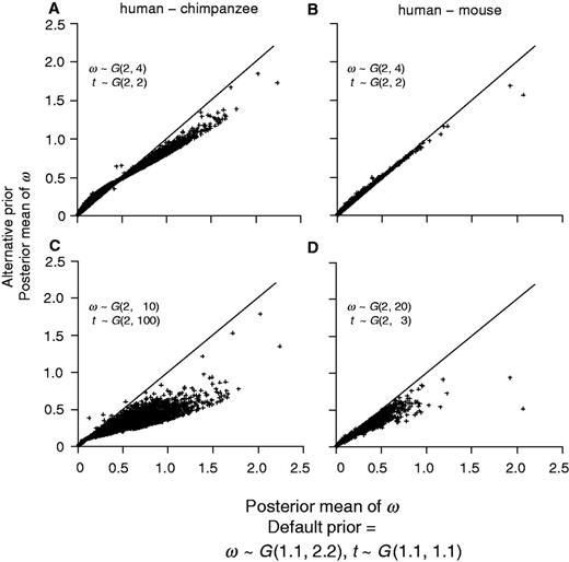 Bayesian estimates of ω for the human–chimpanzee (A and C) and human–mouse (B and D) comparisons using two alternative priors plotted against estimates using the default prior (eq. 2). The alternative priors are: (A and B) ω ∼ G(2, 4), t ∼ G(2, 2); (C) ω ∼ G(2, 10), t ∼ G(2, 100); and (D) ω ∼ G(2, 20), t ∼ G(2, 3).