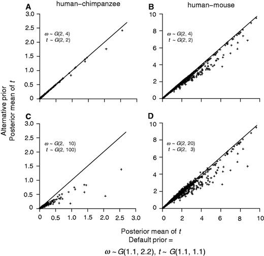 Bayesian estimates of t for the human–chimpanzee (A and C) and human–mouse (B and D) comparisons using different gamma priors. The alternative priors are as in figure 5.