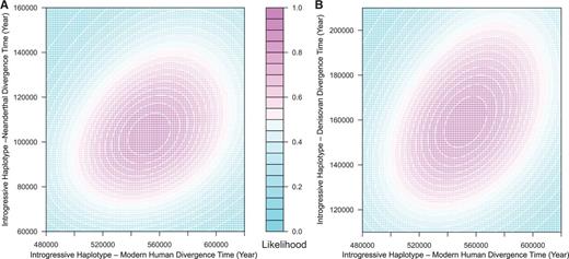 Divergence estimation of the putative introgressive haplotypes. (A) Joint likelihood for the divergence time between the putative introgressive haplotypes and modern human (X axis) or the Altai Neanderthal (Y axis). (B) Joint likelihood for the divergence time between the putative introgressive haplotypes and modern human (X axis) or the Denisovan (Y axis).