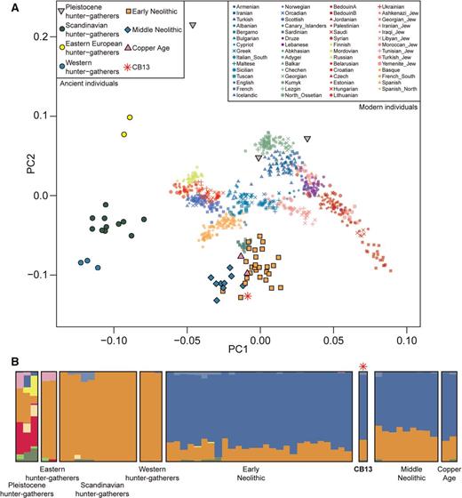 Genetic affinities of CB13. (A) Procrustes PCA of hunter–gatherers, Early Neolithic, Middle Neolithic, and Copper Age farmers. The PCA was performed using only transversions (to avoid confounding effects related to postmortem damage). (B) Ancestry proportions assuming 11 ancestral components, as inferred by ADMIXTURE analysis.