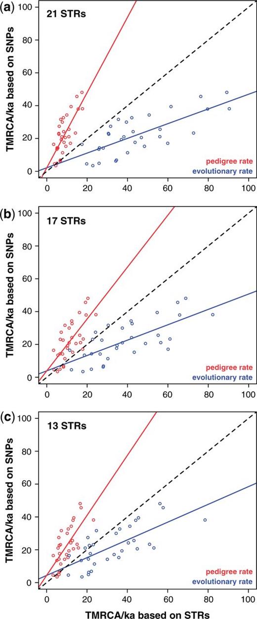 Relationship between SNP- and STR-based TMRCA estimates. SNP-based node estimates are plotted against STR-based estimates for (a) 21 STRs, (b) 17 STRs, and (c) 13 STRs, here using ASD with the “ancestral haplotype” root specification. The black dashed line in each case indicates x = y. Underlying data and correlation coefficients are given in supplementary tables S6 and Supplementary Data, Supplementary Material online.