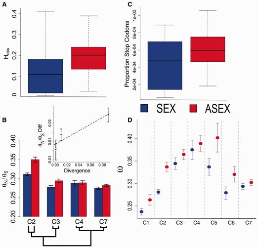 Heterozygosity, within-species variation, and between species divergence for sexual and functional asexual Oenothera species. (a) Barplot of observed heterozygosity among sexual (blue; n = 28) and functionally asexual (red, n = 34) individuals. Horizontal lines denote median values; vertical box lengths denote interquartile distances; whiskers denote 1.5× upper and lower quartile values. (b) The ratio of Watterson’s estimator of the population mutation rate for nonsynonymous and synonymous sites (θN/θS) for four sexual/asexual pairs with within-species sampling. Here, clade 4 refers only to the monophyletic O. grandiflora and O. biennis individuals (see fig. 1). Inset: Plot of means and 95% confidence intervals on the θN/θS difference as a function of divergence time between sexual/asexual pairs. The black dashed line shows the slope of the regression (R2 = 0.85). (c) Boxplot showing the proportion of total polymorphic sites represented by premature termination codons in population genomic data from sexual and asexual species. (d) Means and 95% confidence intervals of average ω ratios across loci for sexual and asexual species within each of seven clades. Clades are separated by vertical dashed lines.
