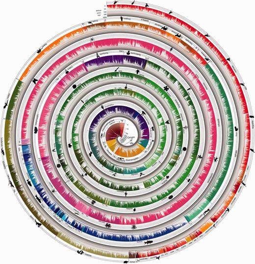 (2 columns) A timetree of 50,632 species synthesized from times of divergence published in 2,274 studies. Evolutionary history is compressed into a narrow strip and then arranged in a spiral with one end in the middle and the other on the outside. Therefore, time progresses across the width of the strip at all places, rather than along the spiral. Time is shown in billions of years on a log scale and indicated throughout by bands of gray. Major taxonomic groups are labeled and the different color ranges correspond to the main taxonomic divisions of our tree.