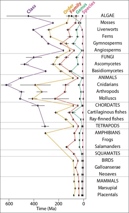 (1 column) Temporal relationships of Linnaean ranks of eukaryotes, showing mode and 95% confidence intervals. Prokaryotes are not shown because of large differences in scale (supplementary Materials and Methods, Supplementary Material online).