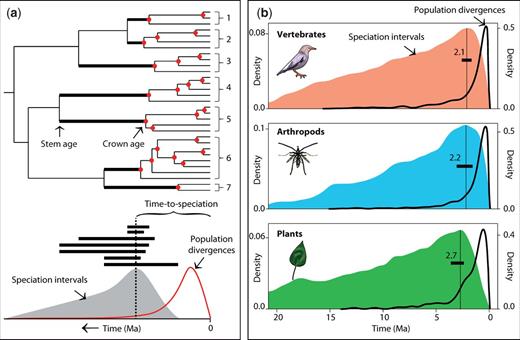 (2 columns) Estimation of time-to-speciation. (a) Analytical design showing expected results. Intervals between stem age and crown age of seven species contain time-to-speciation (dashed line represents the modal time-to-speciation). Divergences among populations, and corresponding histogram, are in red. (b) Colored histograms of observed time-to-speciation, showing modes (vertical lines) and confidence intervals (bars) in vertebrates (N = 213, 2.1 Ma, 1.74–2.55 Ma), arthropods (N = 85, 2.2 Ma, 1.57–3.07 Ma), and plants (N = 55, 2.7 Ma, 2.37–3.63 Ma). Black curves to the right are histograms of population divergences.