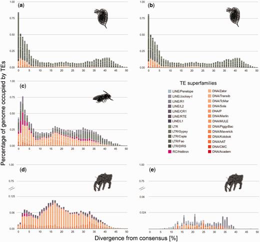 Repeat divergence plots depicting TE activity through time for the most abundant TE families in the genomes of the five asexual lineages (a) Daphnia pulex (sed), (b) Daphnia pulex (5w), (c) Leptopilina clavipes (gbw), (d) Hypochthonius rufulus, and (e) Platynothrus peltifer. Element copies with low divergence from the consensus were recently active, whereas TE copies with older activities are more diverged. Note the different y-axis scales.